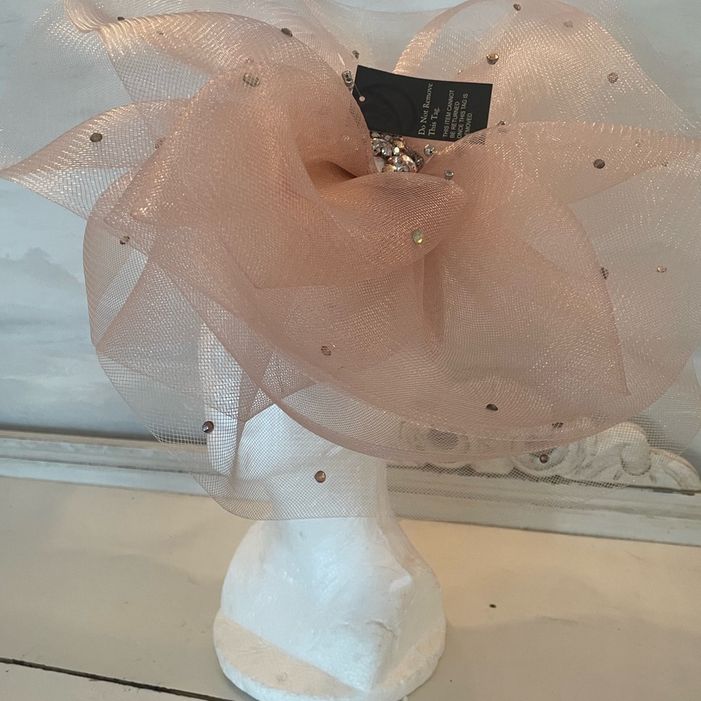 NWT Fascinator
